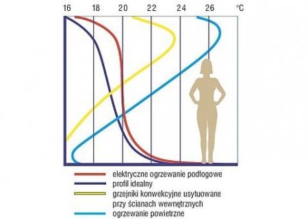 Przekrój temperatury w pomieszczeniu.jpg